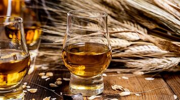 Century-Old Experiment Ensures Future of Beer and Whiskey
