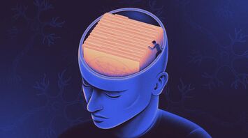 Why We Forget New Things and How it Aids Learning