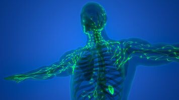 Blocking Key Protein Halts Spread of Cervical Cancer Tumors