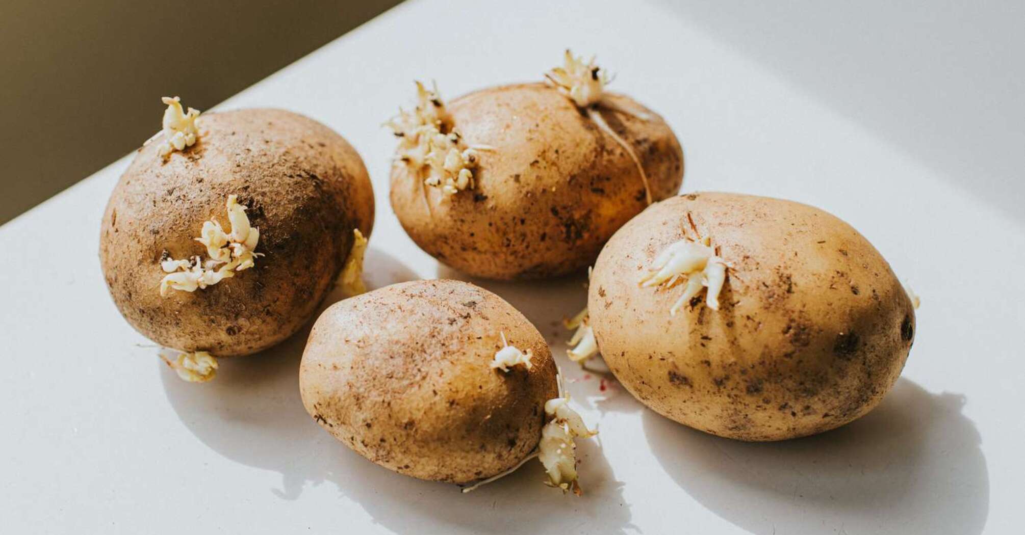  Is It Safe to Eat Sprouted Potatoes? What Experts Say