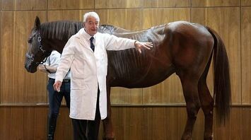 Live horses in veterinary anatomy classes