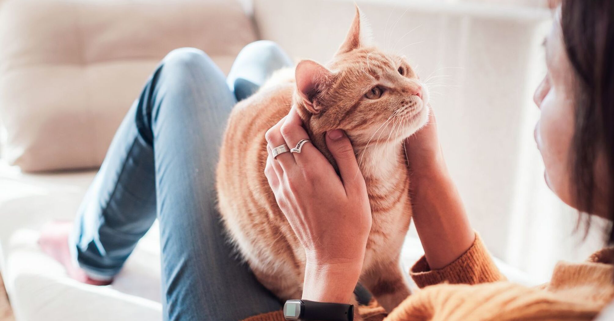 Why Petting Your Cat Leads to Static Electricity