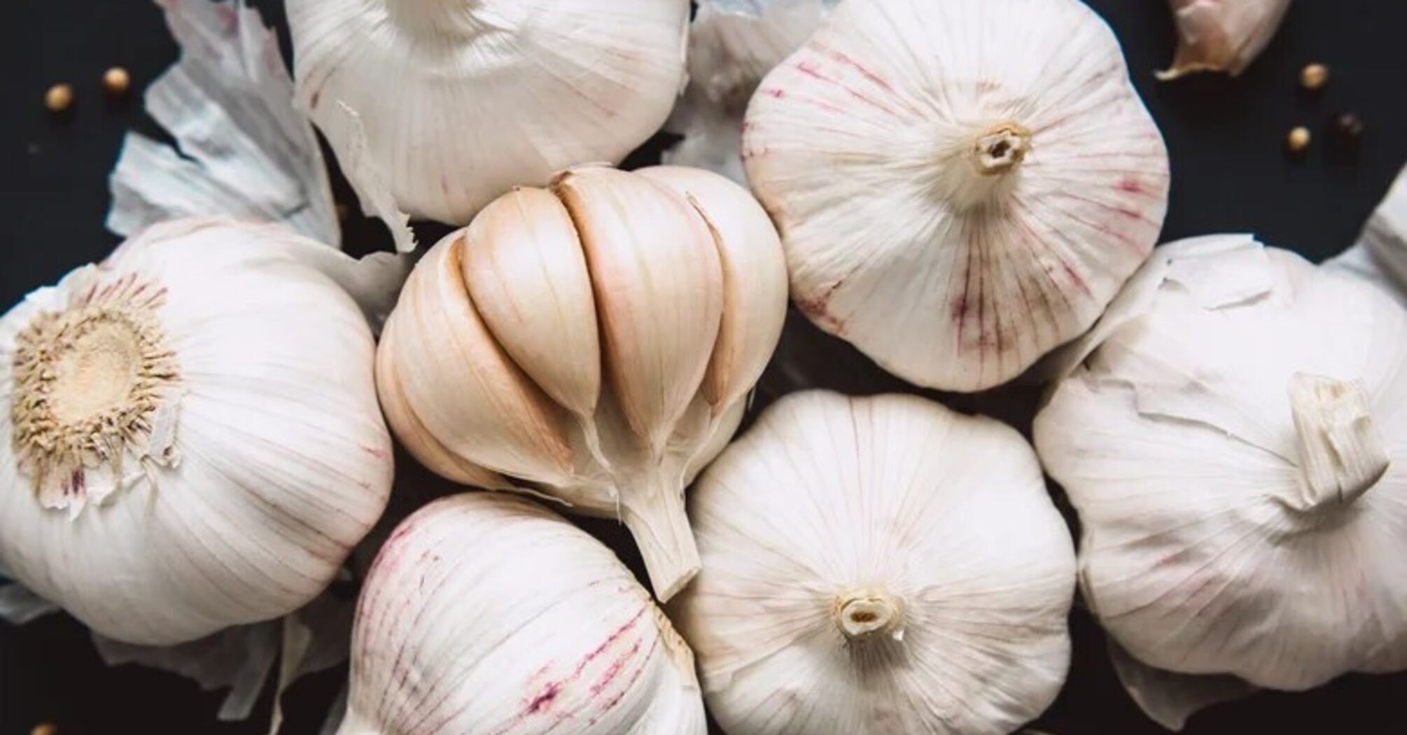 Garlic