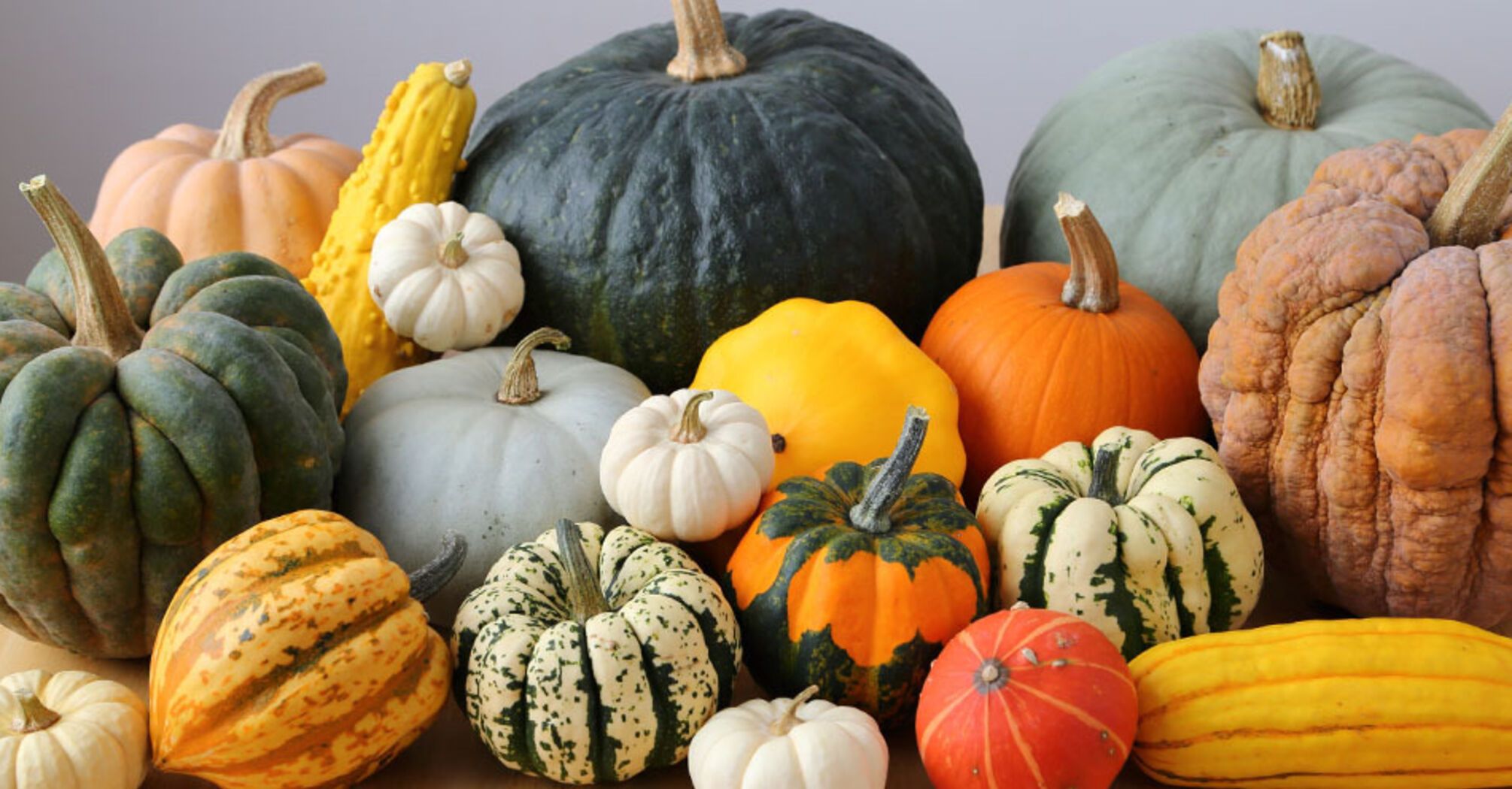 How to Prolong Pumpkin Life Either for Delicious Fall Meals or Bright Decor