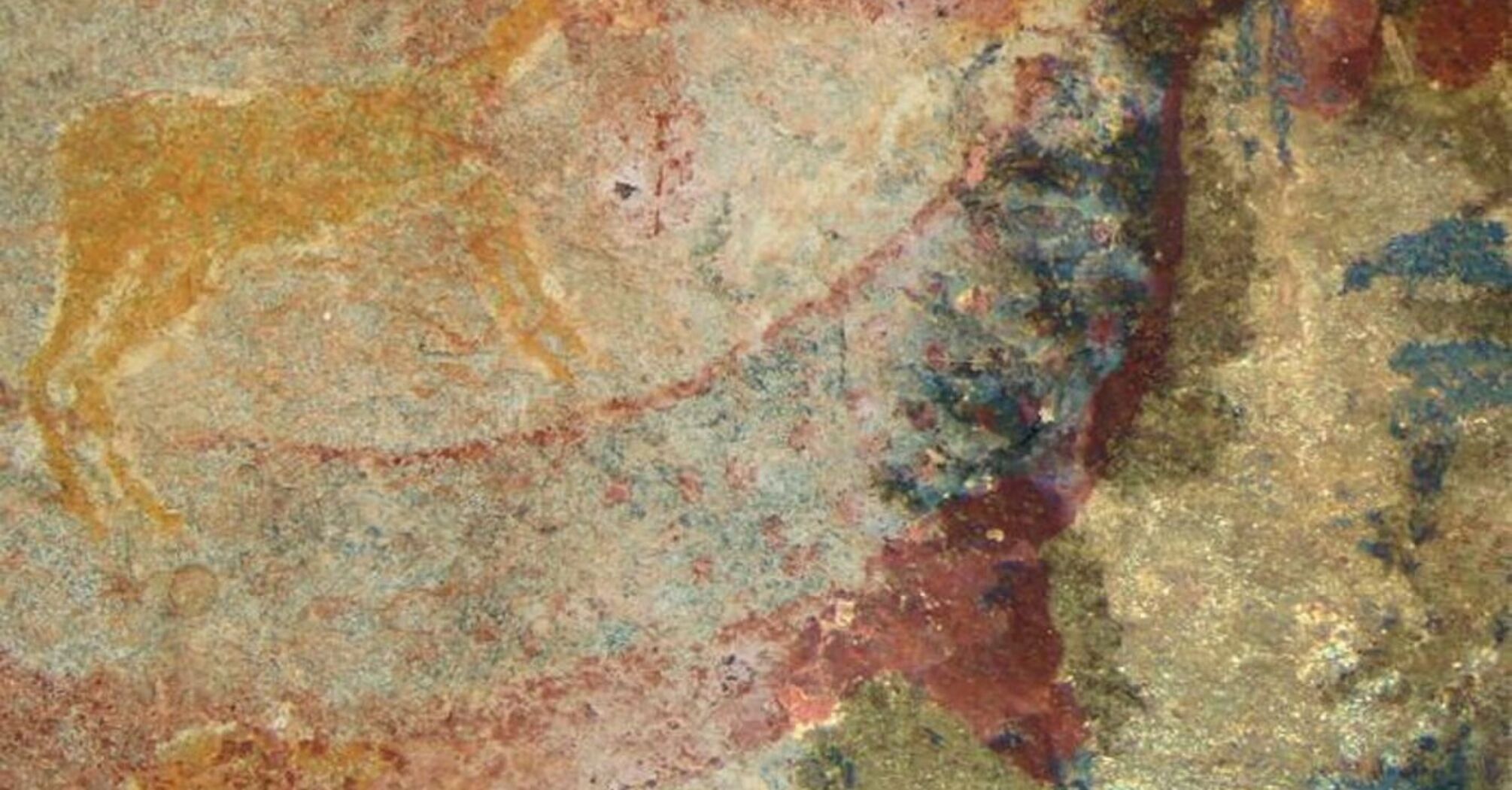 South African Rocks South African Rock Art and Its Possible Inspiration from Fossils | SSP ...