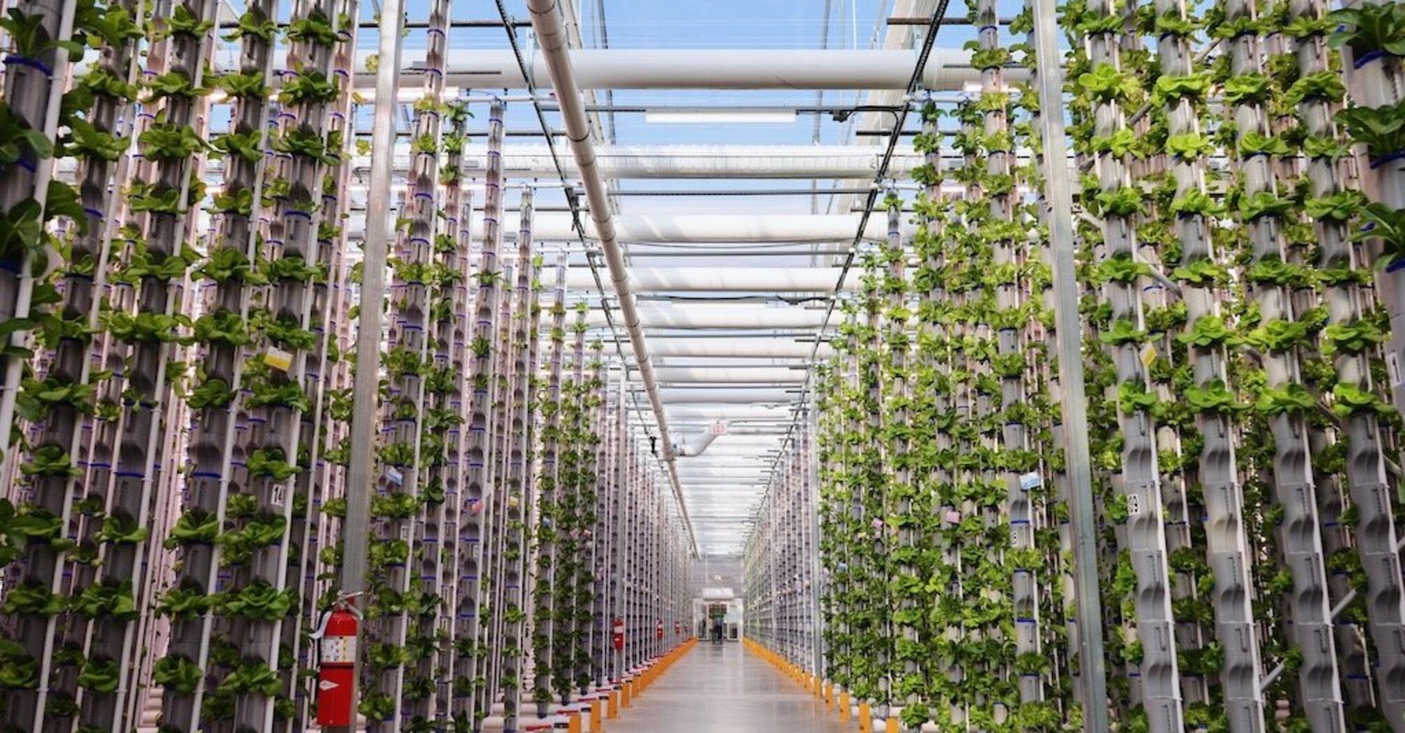 Smart Lighting: A Solution for Affordable Vertical Farming