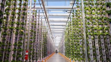 Smart Lighting: A Solution for Affordable Vertical Farming