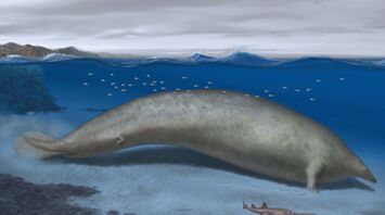 Some of Earth’s Extinct Giant Animals May Have Been Smaller Than We Thought