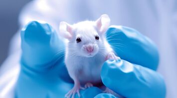 Study Suggests New Treatment for Spinal Cord Injuries