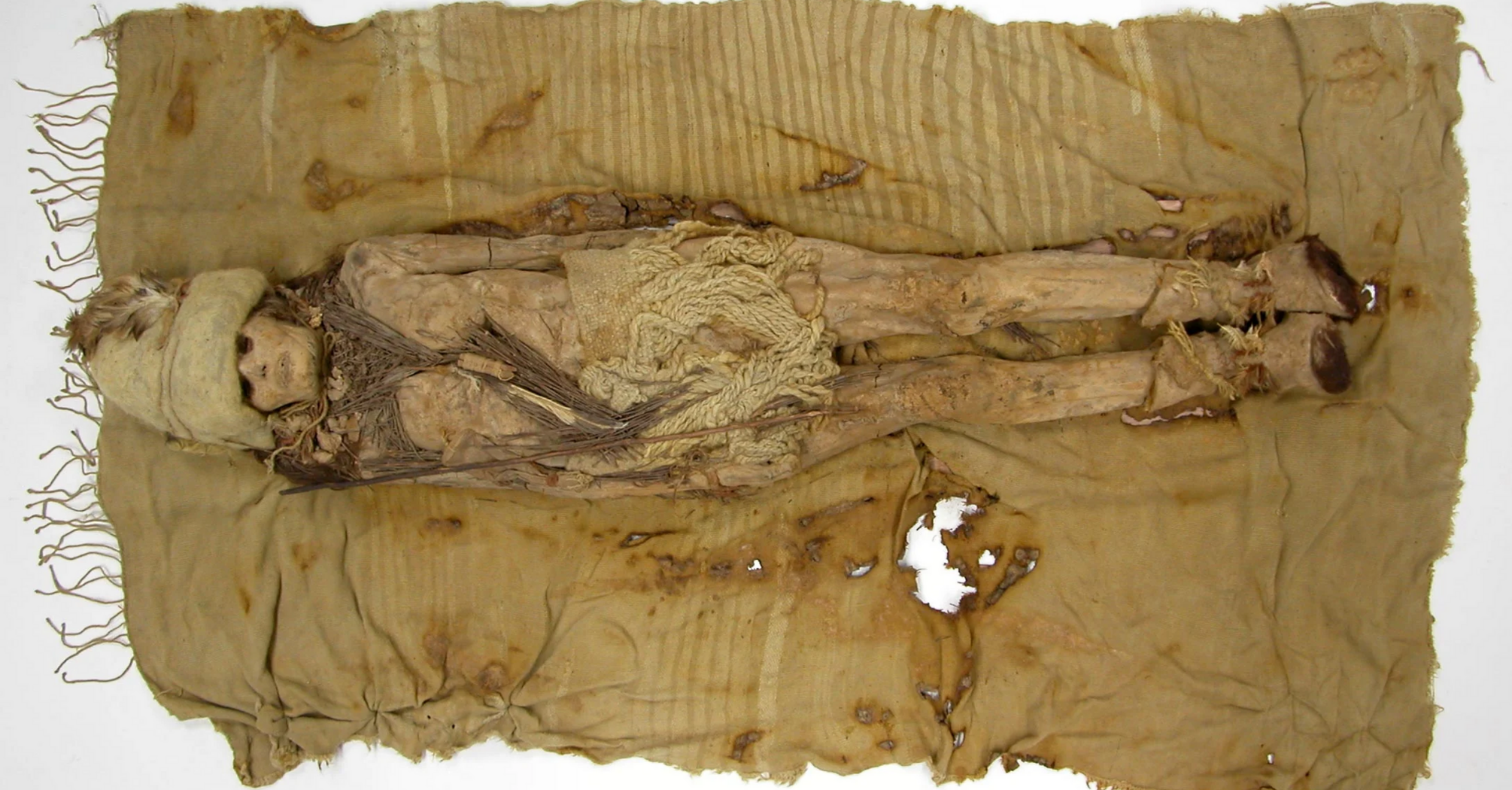 Tarim mummies from the present-day Xinjiang region of Northwestern China