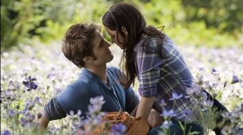 The Most Memorable Flower Scenes in Films