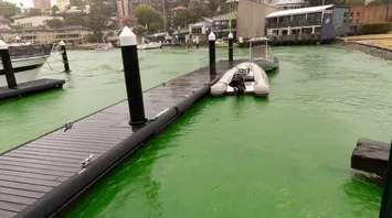 Mysterious Green Color in Sydney Harbor Deemed Harmless Dye