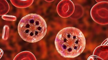 Breakthrough in the Fight Against Malaria: MED6-189