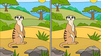 Spot The Difference: Can You Find 12 Differences in 59 Seconds?