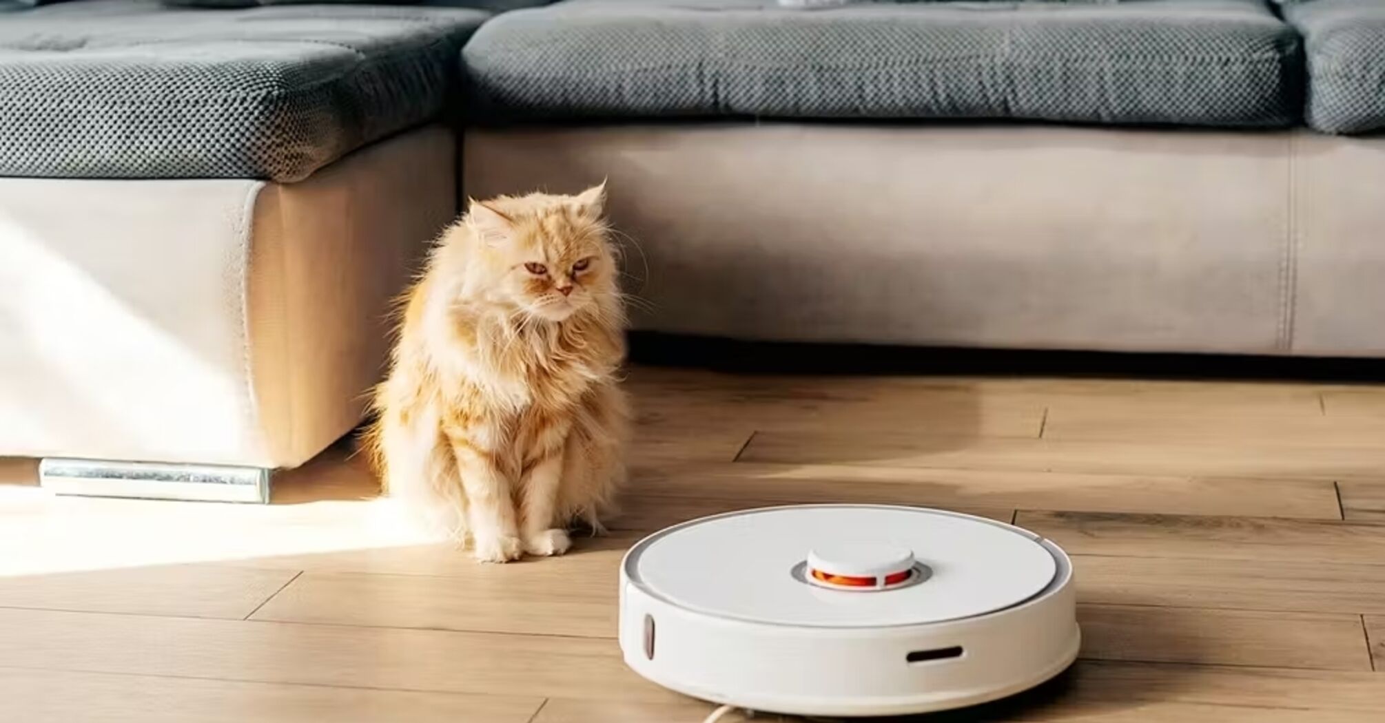 A robot vacuum