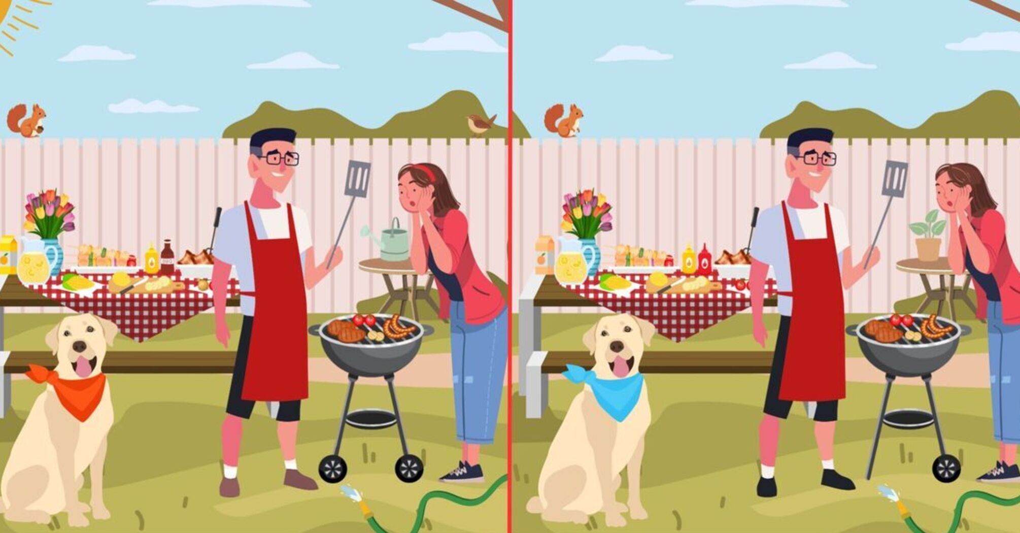 Can you find the 12 differences between the BBQ scenes