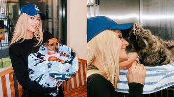 Paris Hilton Volunteers at Shelter for Animals Affected by L.A. Fires and Boosts Search for Missing Cat Owner