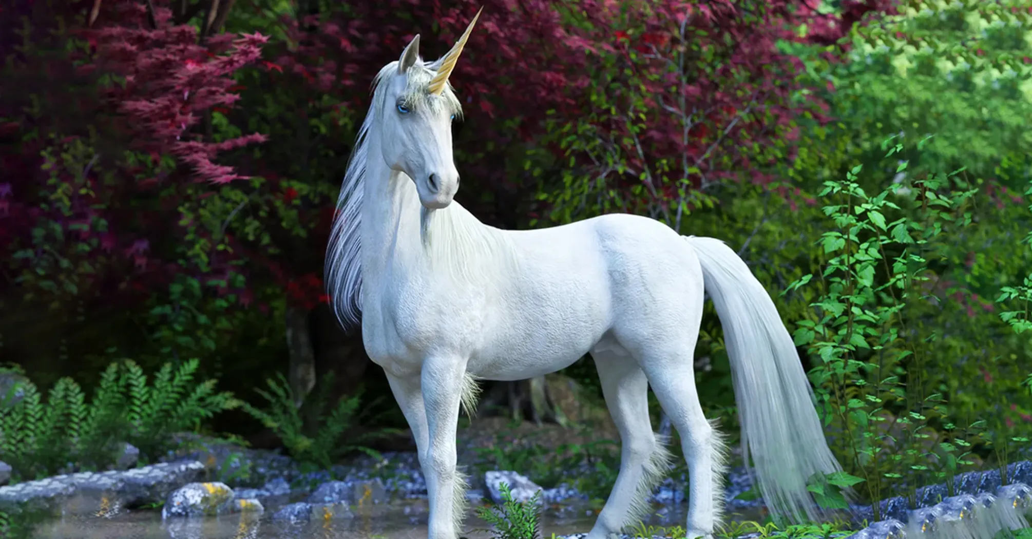 Unicorn Spirit Animal: What Does a Unicorn Symbolize?