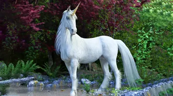 Unicorn Spirit Animal: What Does a Unicorn Symbolize?