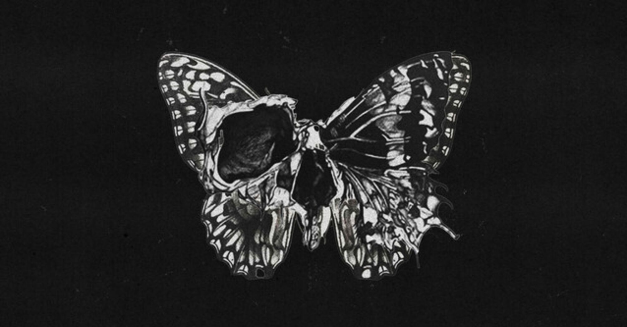 5 Spiritual Meanings of Seeing a Dead Butterfly