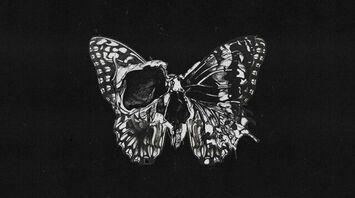 5 Spiritual Meanings of Seeing a Dead Butterfly