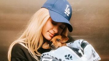 Paris Hilton Enjoys Joyful Car Ride with Foster Dog Zuzu After L.A. Fires