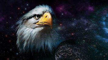 Eagle