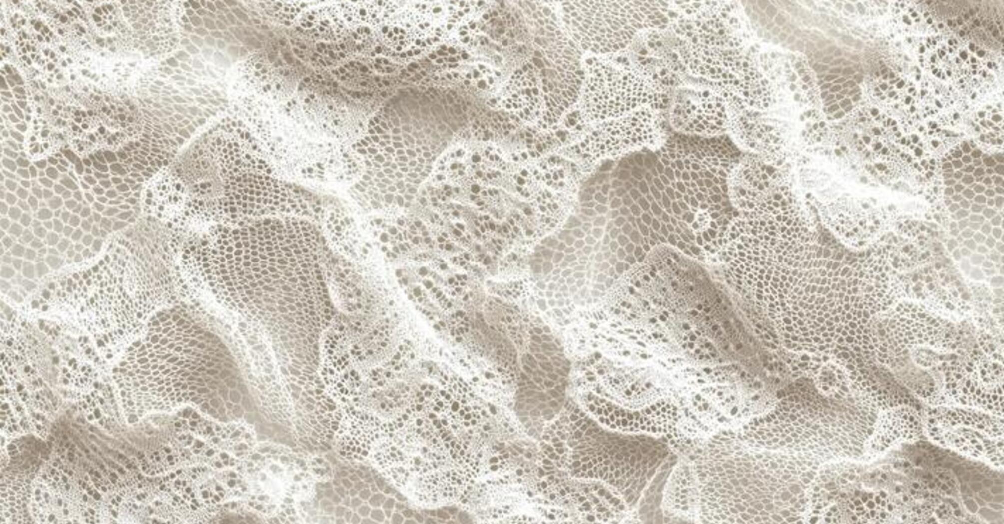 The Spiritual Meaning of White Lace