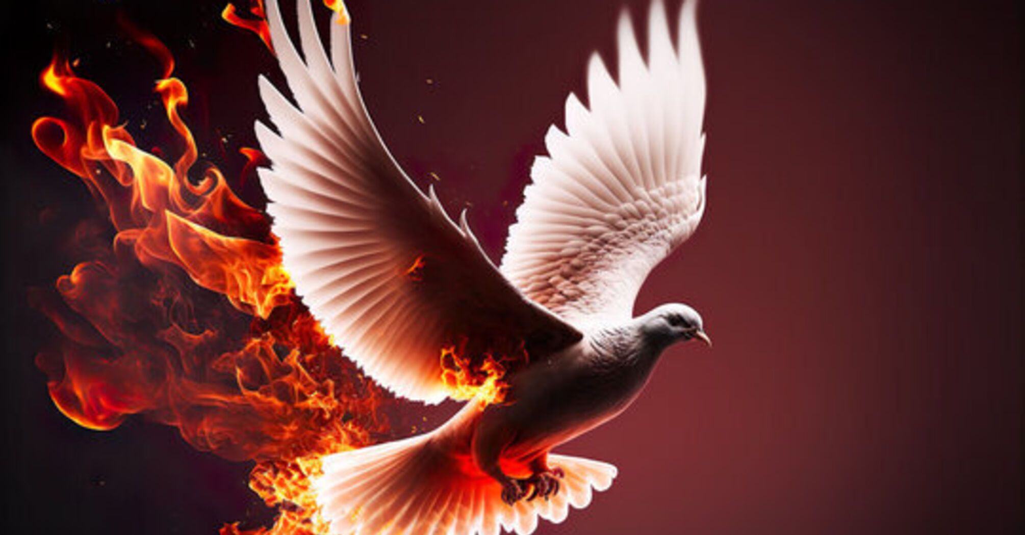 6 Spiritual Meanings of a Dove on Fire