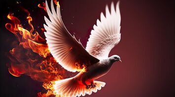 6 Spiritual Meanings of a Dove on Fire