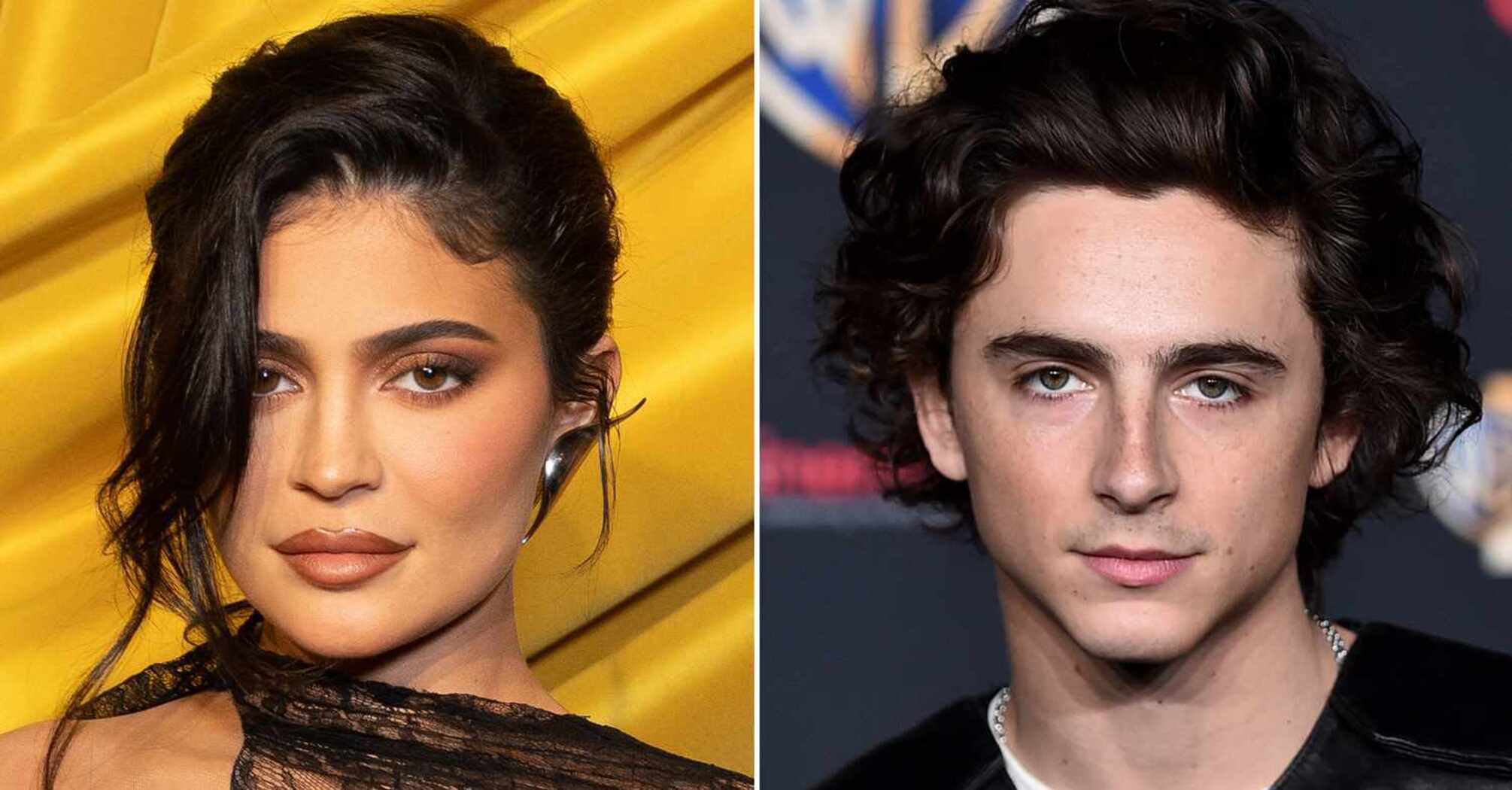 Timothée Chalamet Avoids Question on Kylie Jenner’s Support at Palm Springs Film Festival