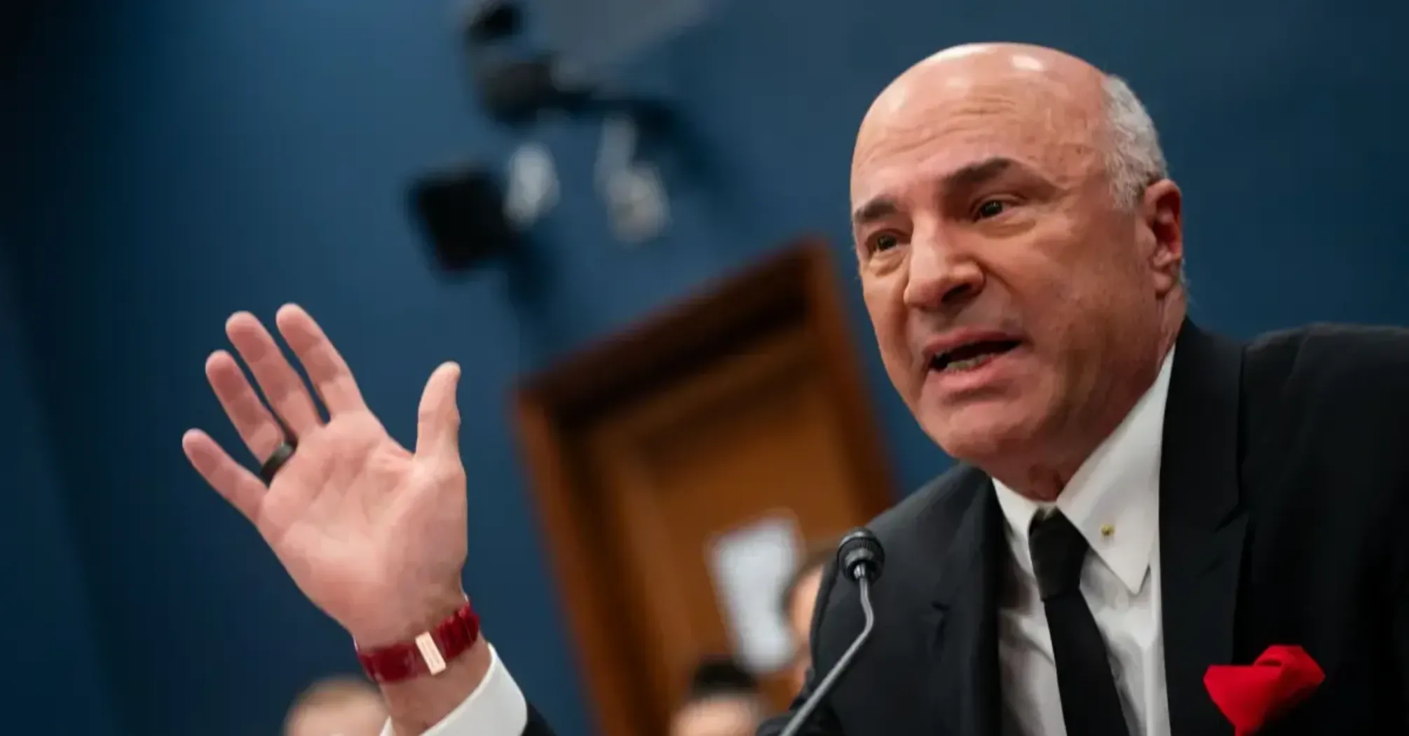 Famous Canadian Entrepreneur Kevin O'Leary May Acquire TikTok Soon