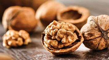 What Do Walnuts Mean in Your Dream?