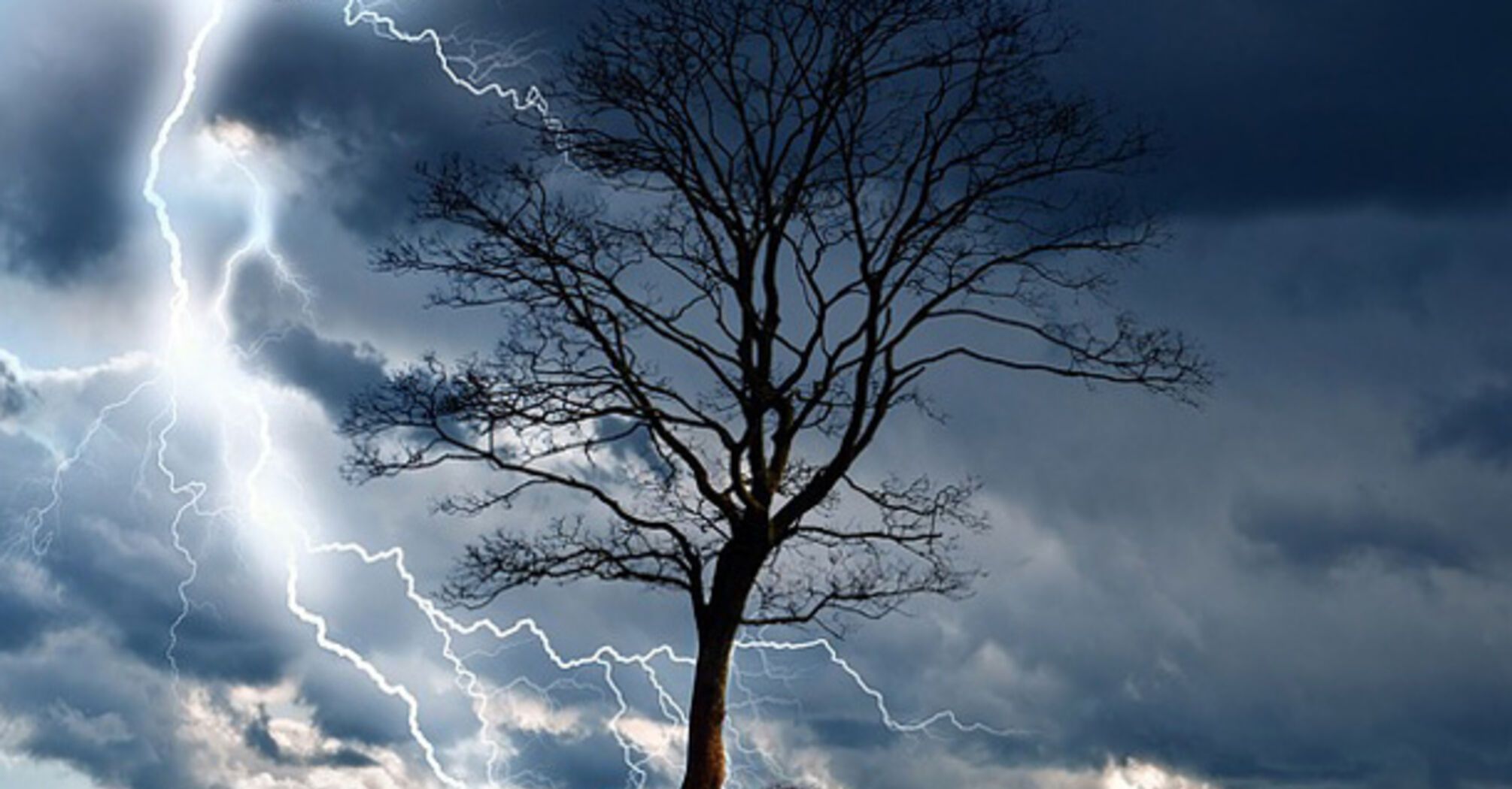 Spiritual Insights from a Lightning-Struck Tree: Change, Awakening & Energy