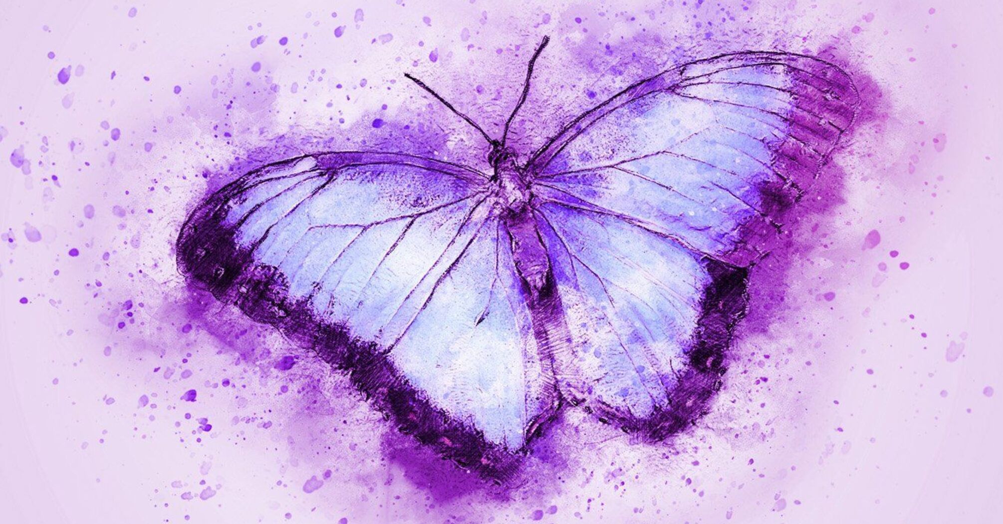 Spiritual Meaning and Symbolism of Purple Butterfly as Your Spirit Animal