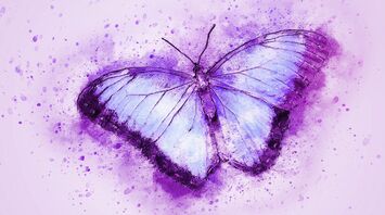 Spiritual Meaning and Symbolism of Purple Butterfly as Your Spirit Animal
