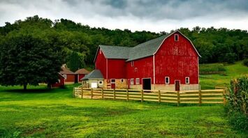 Farm: Hidden Dream Meanings