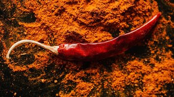 Hot Spices: Dream Dictionary