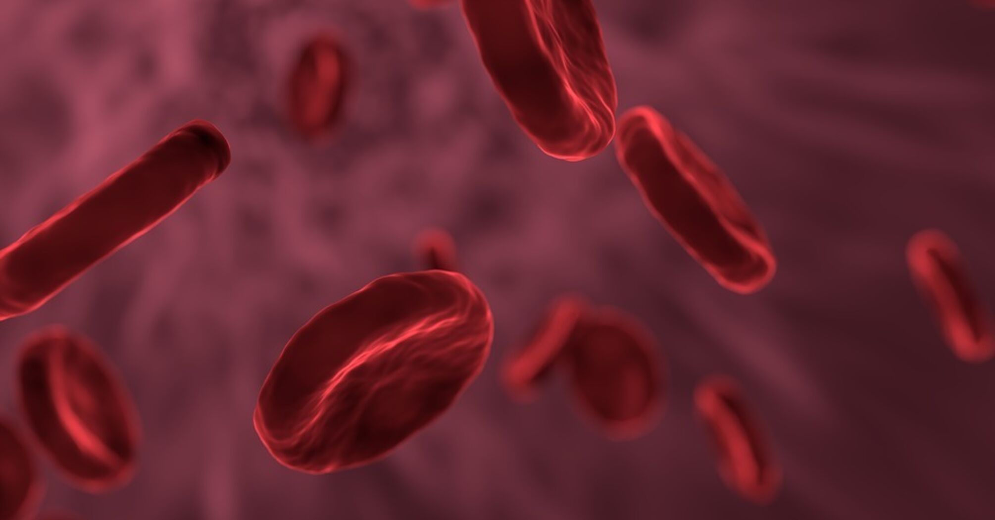 Blood cells