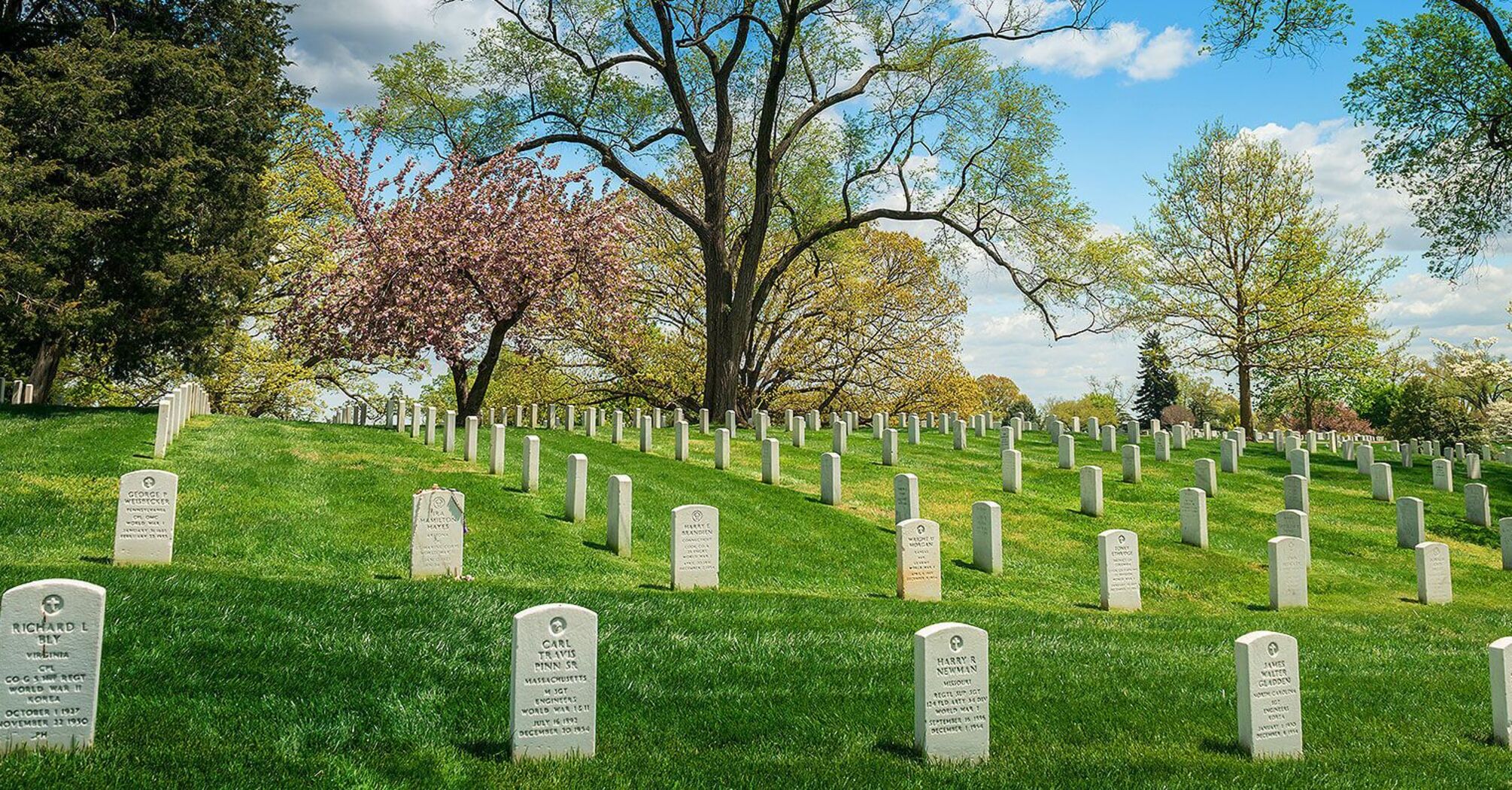 Dream About a Cemetery: Understanding Its Meanings