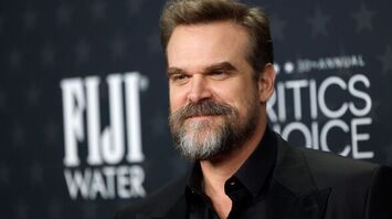David Harbour Graces First Red Carpet Since Lily Allen Split