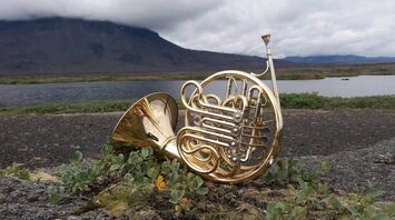 Why You Dream About Horns: Possible Interpretations