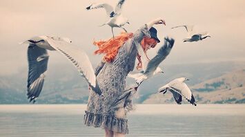 Ornithophobia and Spiritual Growth: What Your Fear of Birds Reveals