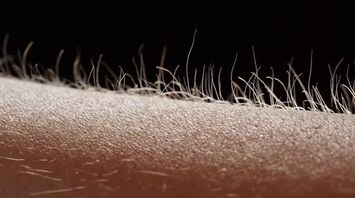 Hair on Arm Standing Up? The Spiritual Meaning Explained