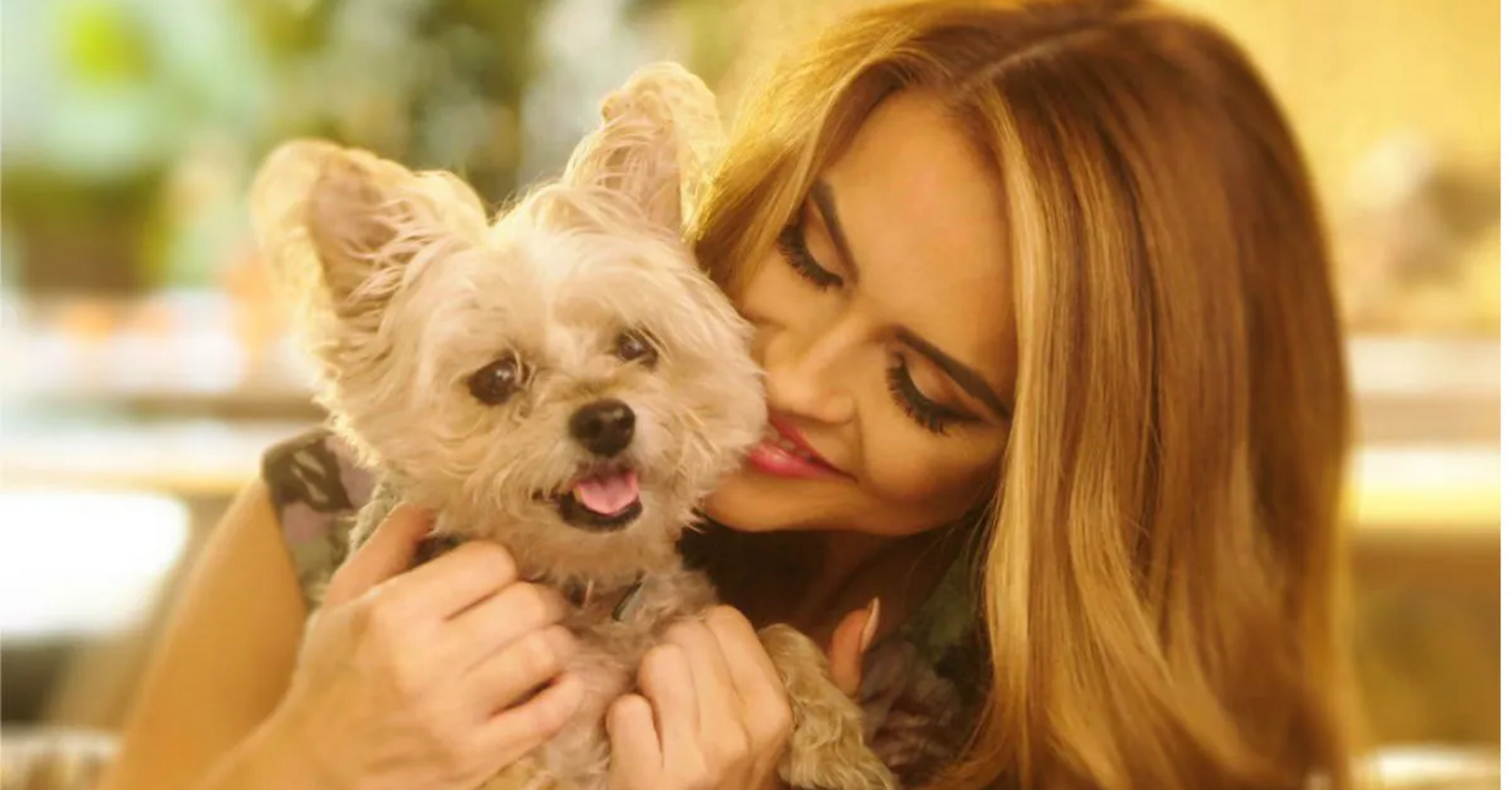 Chrishell Stause Announces the Death of Her Beloved Dog Gracie