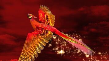 What it Means to Dream About Phoenix