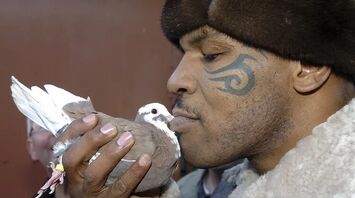 Mike Tyson's Deep Bond with Pigeons: A Testament to His Past