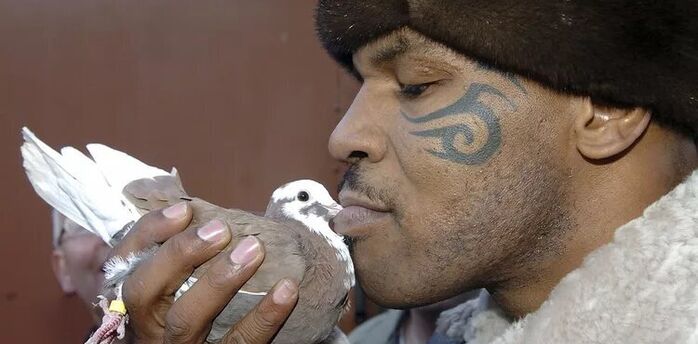 Mike Tyson's Deep Bond with Pigeons: A Testament to His Past