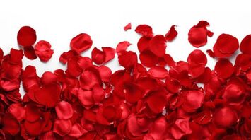 Red Rose Petals: Spiritual Meaning and Symbolism