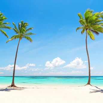 What does a Palm Mean in Your Dream?